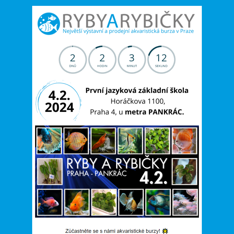 _  Ryby a Rybičky 4.2.2024 Praha/Pankrác