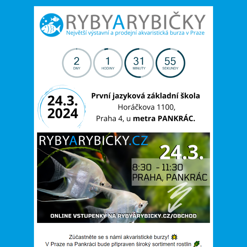 _  Ryby a Rybičky 24.3.2024 Praha/Pankrác