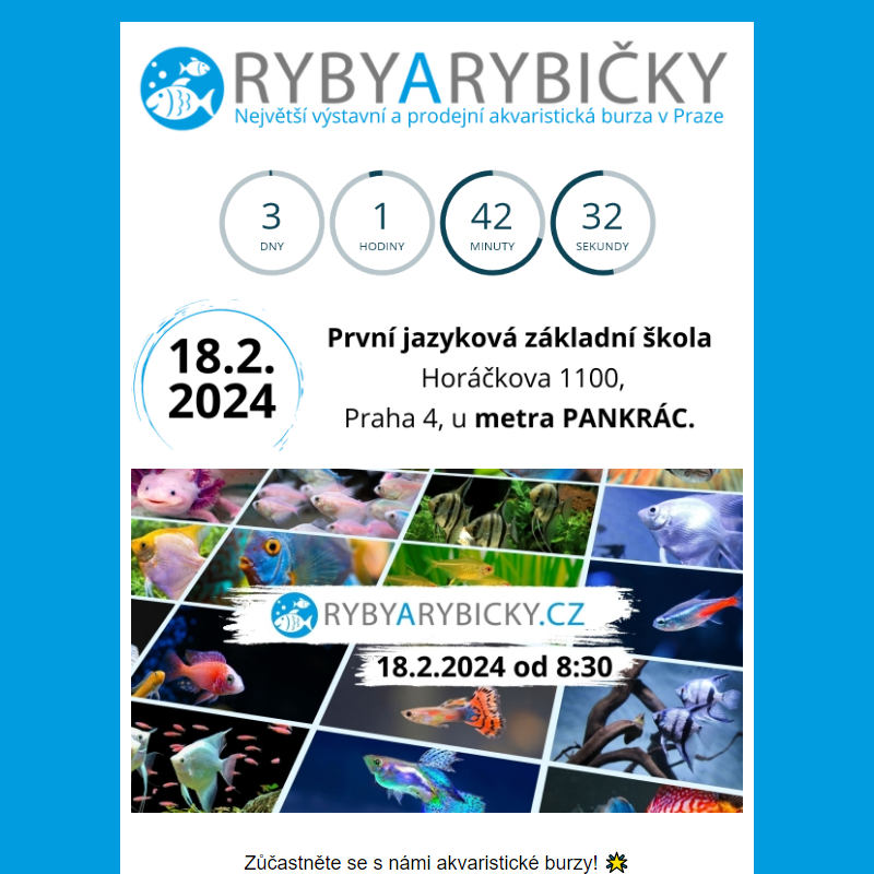 _  Ryby a Rybičky 18.2.2024 Praha/Pankrác