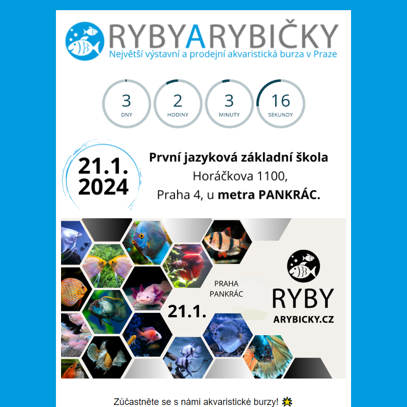_  Ryby a Rybičky 21.1.2024 Praha/Pankrác