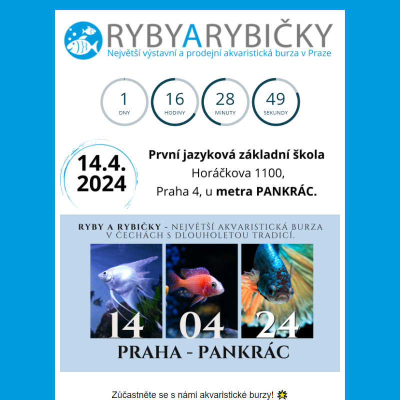 _  Ryby a Rybičky 14.4.2024 Praha/Pankrác