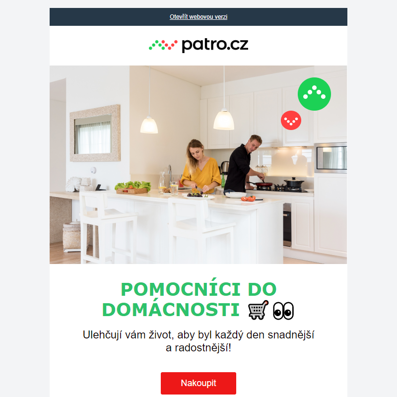 POMOCNÍCI DO DOMÁCNOSTI __