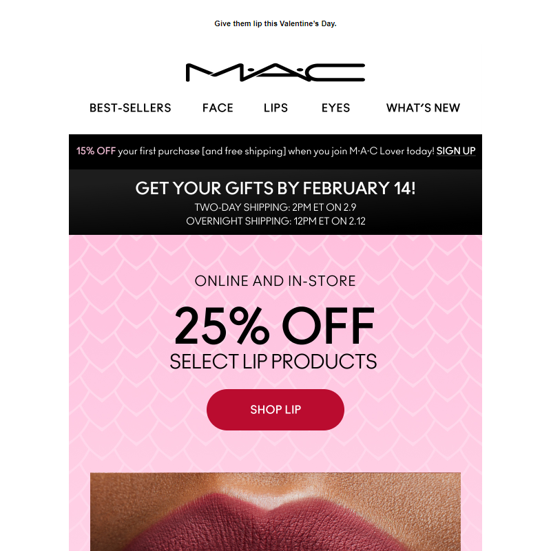 Ends soon! Get 25% off select lip products _ 