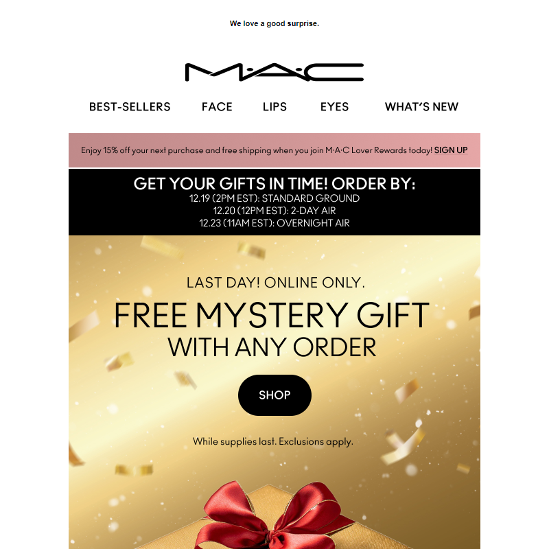 HOURS LEFT! Get a FREE mystery gift with any purchase _