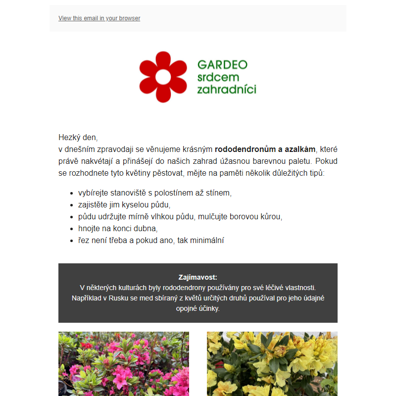 Azalky a rododendrony | Otevřeno o svátcích