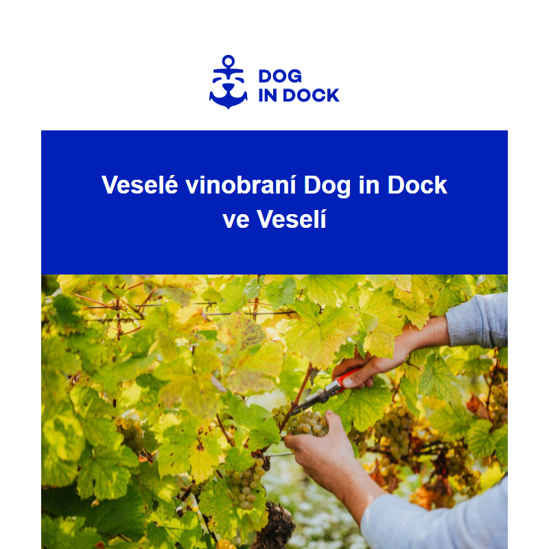 Nenechte si ujít Veselé vinobraní v Dog in Dock