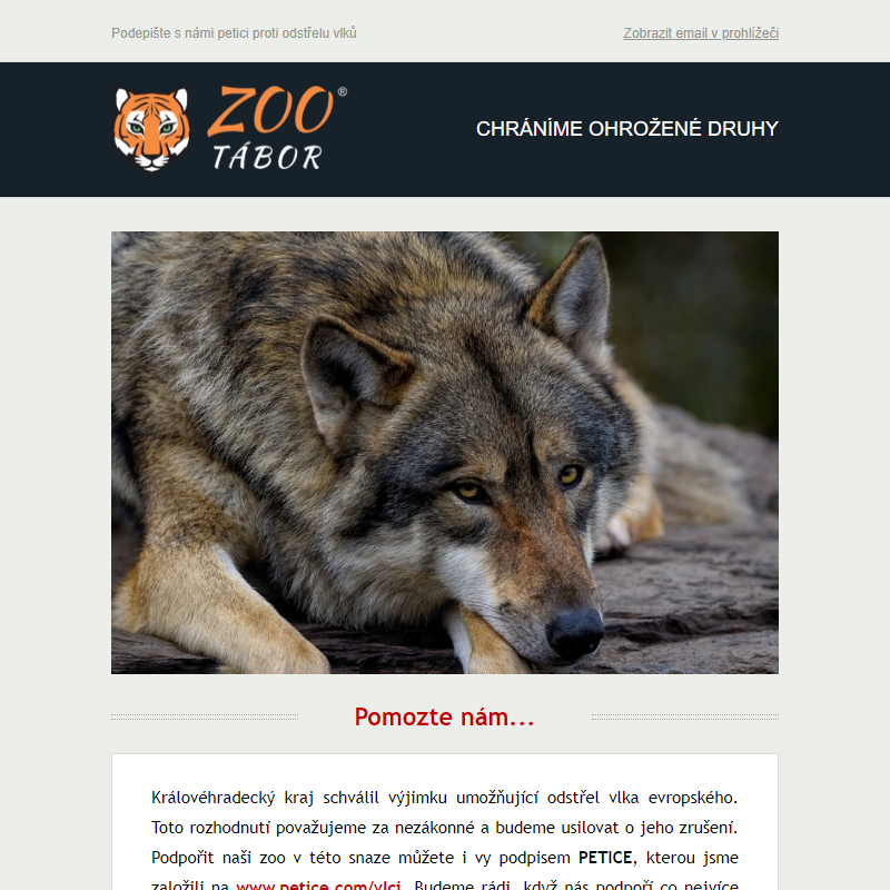 Podepište s námi petici proti odstřelu vlků