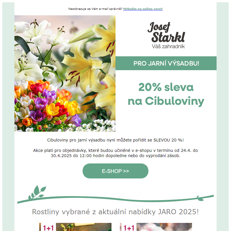Josef Starkl | 20% sleva na cibuloviny!