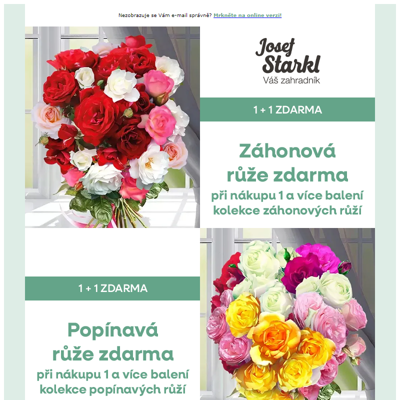 Josef Starkl | Akce '1+1' na vybrané kolekce růží!