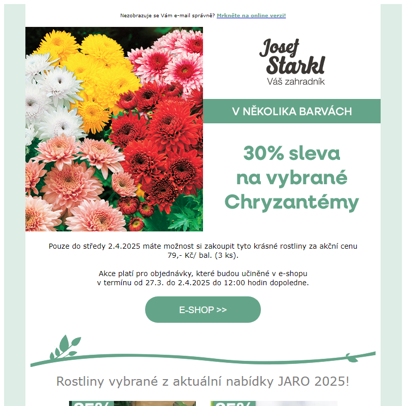 Josef Starkl | -30 % na vybrané odrůdy chryzantém!