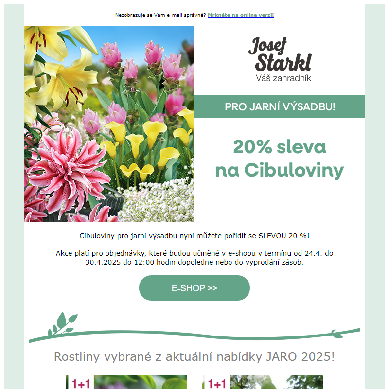 Josef Starkl | 20% sleva na cibuloviny!