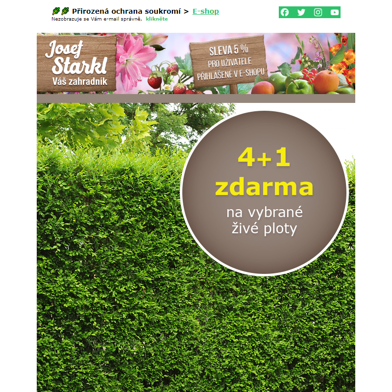 Josef Starkl | 4+1 ZDARMA na vybrané rostliny na živé ploty