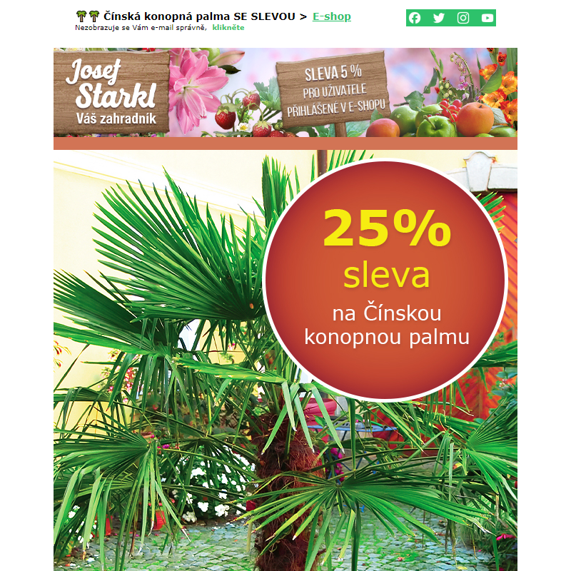 Josef Starkl | 25% sleva na čínskou konopnou palmu