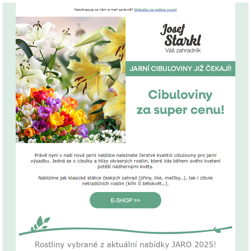 Josef Starkl | Kvalitní cibuloviny za SUPER CENU!