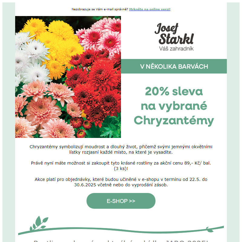 Josef Starkl | -20 % na vybrané odrůdy chryzantém!