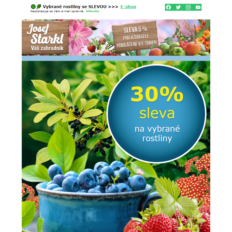 Josef Starkl | -30 % na rostliny vybrané z letní nabídky!