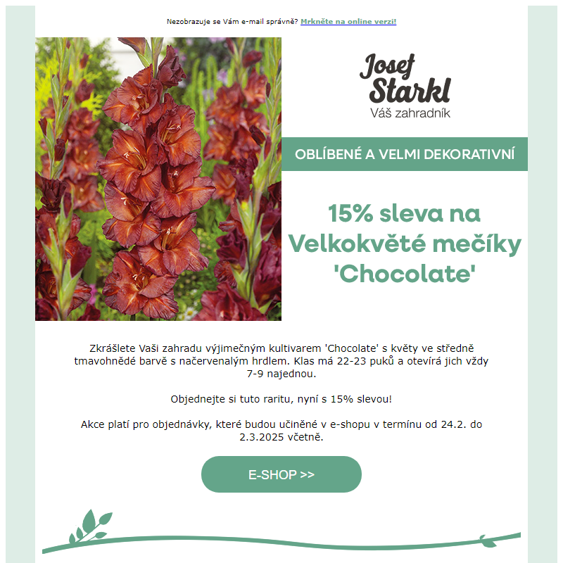 Josef Starkl | 15% sleva na velkokvěté mečíky 'Chocolate