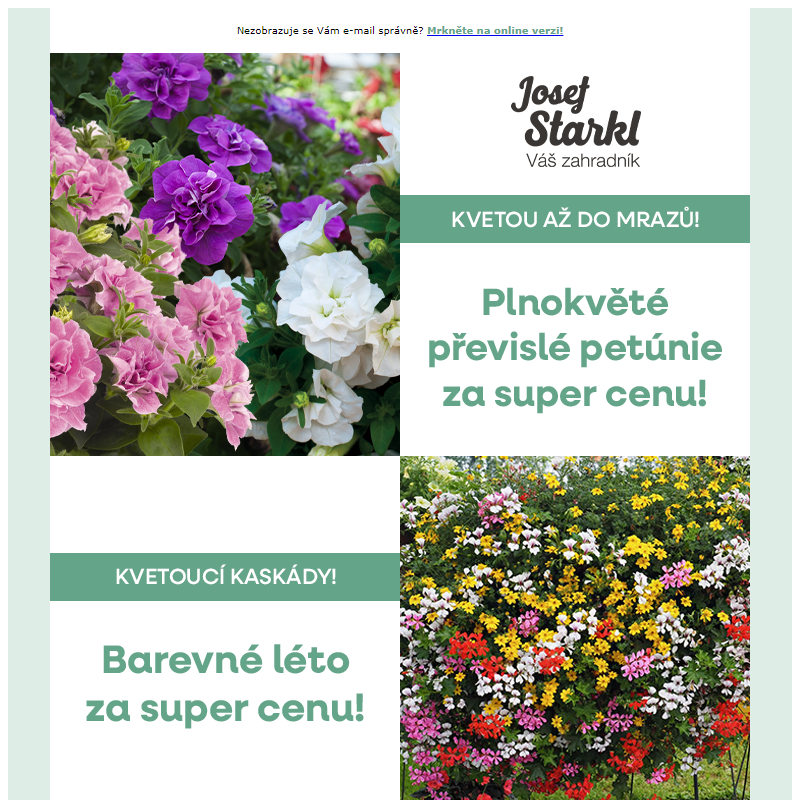 Josef Starkl | Rozzařte svou zahradu barvami léta!