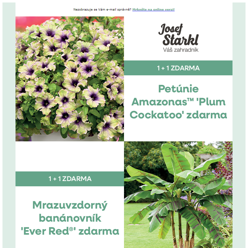 Josef Starkl | Akce '1+1' na vybrané rostliny je zpět!