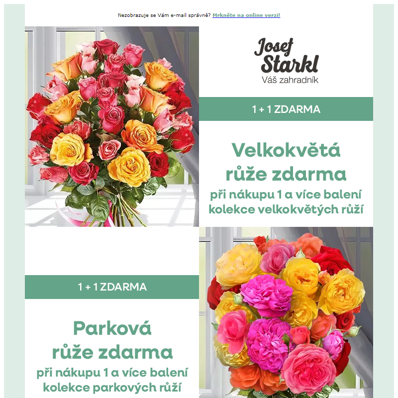 Josef Starkl | Akce '1+1' na vybrané kolekce růží!