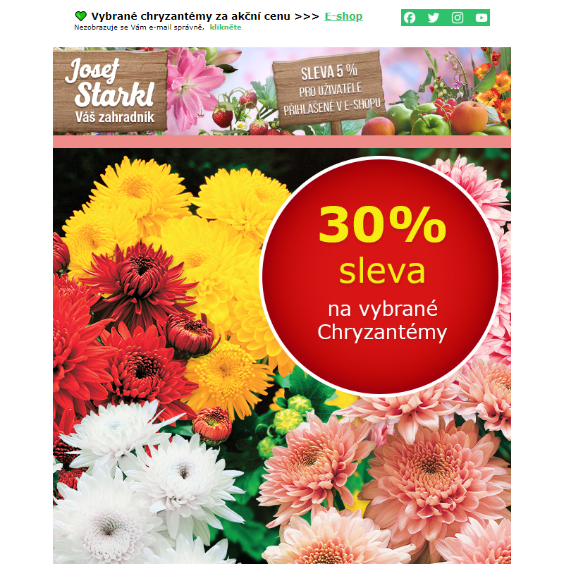 Josef Starkl | -30 % na vybrané odrůdy chryzantém!