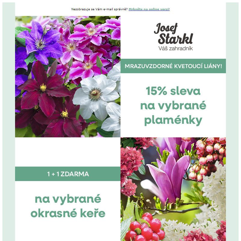 Josef Starkl | Sleva na plaménky a '1+1' na vybrané keře!