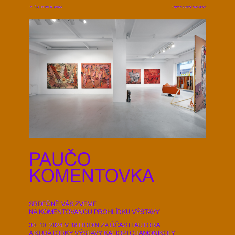 PAUČO V ETCETERA ART | 30. 11. 2024 V 18 HOD