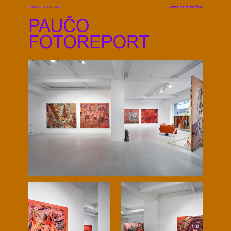 PAUČO V ETCETERA ART | 9. 10. – 1. 11. 2024