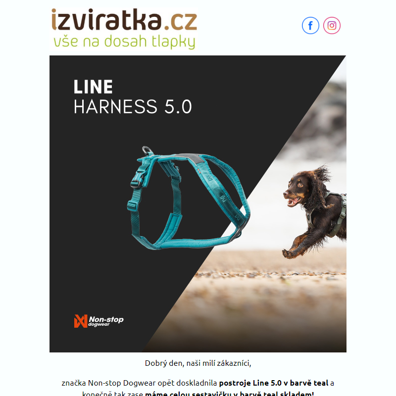 Barva Teal od Non-stop dogwear opět skladem!