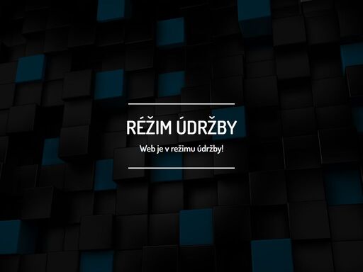 vnitrostátní a mezinárodní kamionová doprava se sídlem ve slavkově u brna.