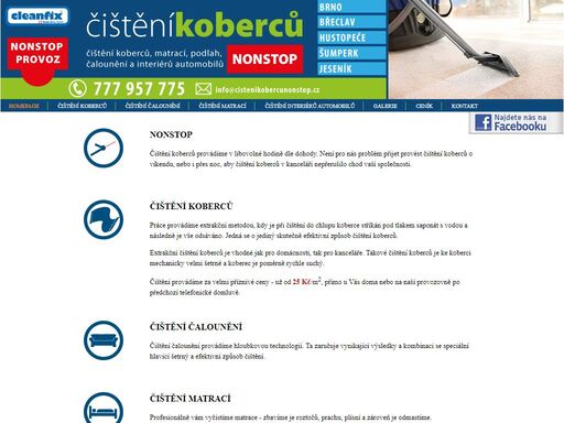 čištění koberců, čištění interiérů aut