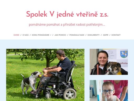 www.vjednevterine.cz