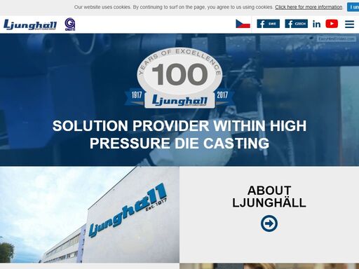solution provider within high pressure die casting