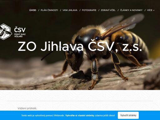 zakladni-organizace-jihlava.webnode.cz