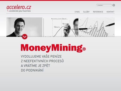 finanční procesy a jejich optimalizace, strategie společnosti, adhoc management.