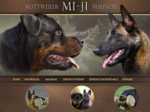 chovatelská stanice plemen rottweiler amalinois s 20 letou tradicí. aktuální nabídka štěňat, krytí, výcvik