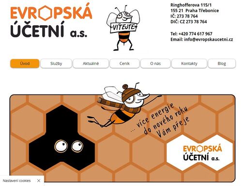 zpracování a vedení účetnictví, daňová evidence, mzdy a personalistika, neziskové organizace, daňové poradenství, audit, zastupování na úřadech.