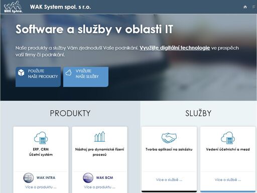 obchodní a ekonomický systém, strategie realizace projektů, podpora pro krizové managery, procesy krizového řízení