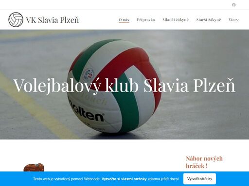sk-15-zs-v-plzni.webnode.cz