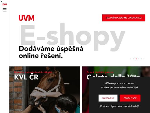 vytváříme webové stránky, eshopy, firemní online aplikace a mobilní aplikace. jsme tým zkušených odborníků s praxí.