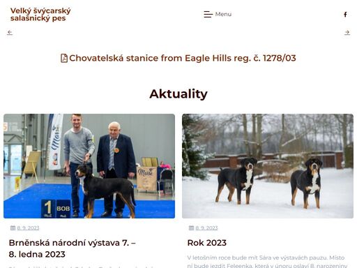 sára zahájila letošní rok 8. ledna brněnskou národní výstavou. třída vítězů v1, cac, národní vítěz, bob. rozhodčí a. karban. poděkování honzovi bendlovi za