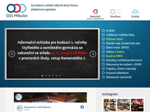 maturitní čtyřleté/osmileté gymnázium a učební obory kuchař - číšník, cukrář, strojní mechanik, strojírenské, zednické práce, pečovatelské, stravovací a ubytovací služby.