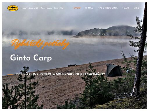 www.gintocarp.cz