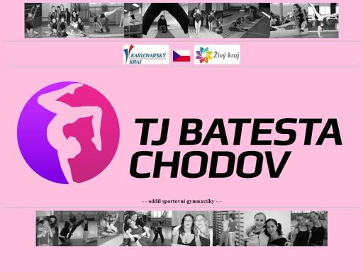 oddíl sportovní gymnastiky v chodově. the artistic gymnastics team from the czech republic