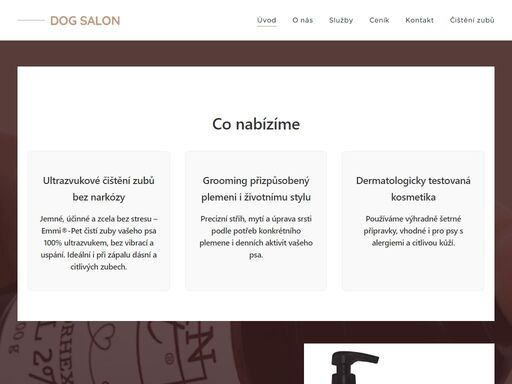 profesionální psí salon v mariánských lázních. nabízíme stříhání, koupání a čištění zubů bez narkózy. osobní péče, šetrný přístup a pohodové prostředí pro vašeho pejska. objednejte se online na www.dogsalon.eu.