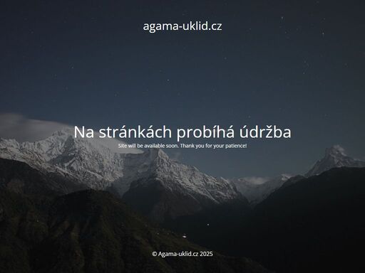již od roku 1995