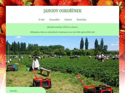 jahody-oskorinek.unas.cz, jahodárna, samosběr jahod, oskořínek, jahody, zelenina,zelí, květák, bokolice, kapusta, hrášek 
