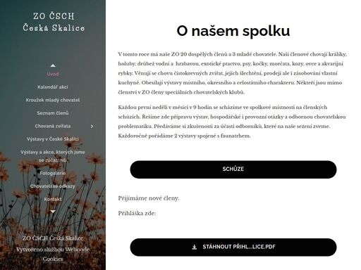 v tomto roce má naše zo 20 dospělých členů a 3 mladé chovatele. naši členové chovají králíky, holuby, drůbež vodní a hrabavou, exotické ptactvo, psy, kočky, morčata, kozy, ovce a akvarijní rybky. věnují se chovu čistokrevných zvířat, jejich šlechtění, prodeji ale i zásobování vlastní kuchyně. obesílají výstavy místního, okresního a celostátního...