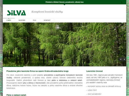 komplexní lesnické služby od pěstební a těžební činnosti až po poradenství