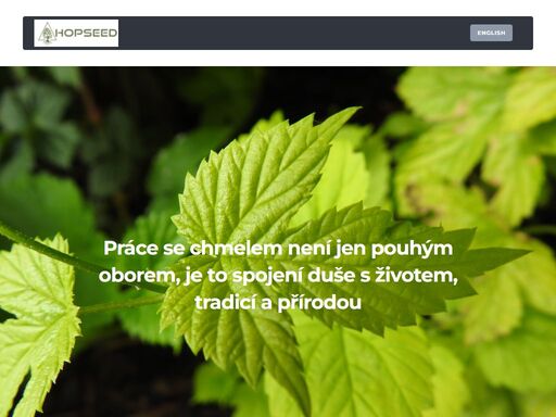 prodej chmele, chmelových silic firmy tns, produktů společnosti murphy and son, šlechtění odrůd, poradenství pěstitelům
